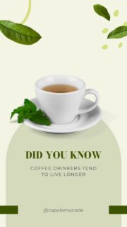 Did you know? ☕🍋
Coffee lovers may live longer… and when you mix it with lemonade, it gets even better 😍
This week’s featured drink is our classic Arnold Palmer — the perfect balance of iced tea and lemonade.
Refreshing, smooth, and made for Florida weather 🌴✨
Come try it and tell us what you think!

#CapeLemonade #ArnoldPalmer #LemonadeOfTheWeek #IcedTeaLemonade #FloridaEats #SWFLEats #CapeCoralFood #FortMyersFood #NaplesFood #FoodTruckLife #LocalBusinessFL #DrinkLocal #RefreshingDrinks #SummerSips #MarketLife #FarmersMarketFinds